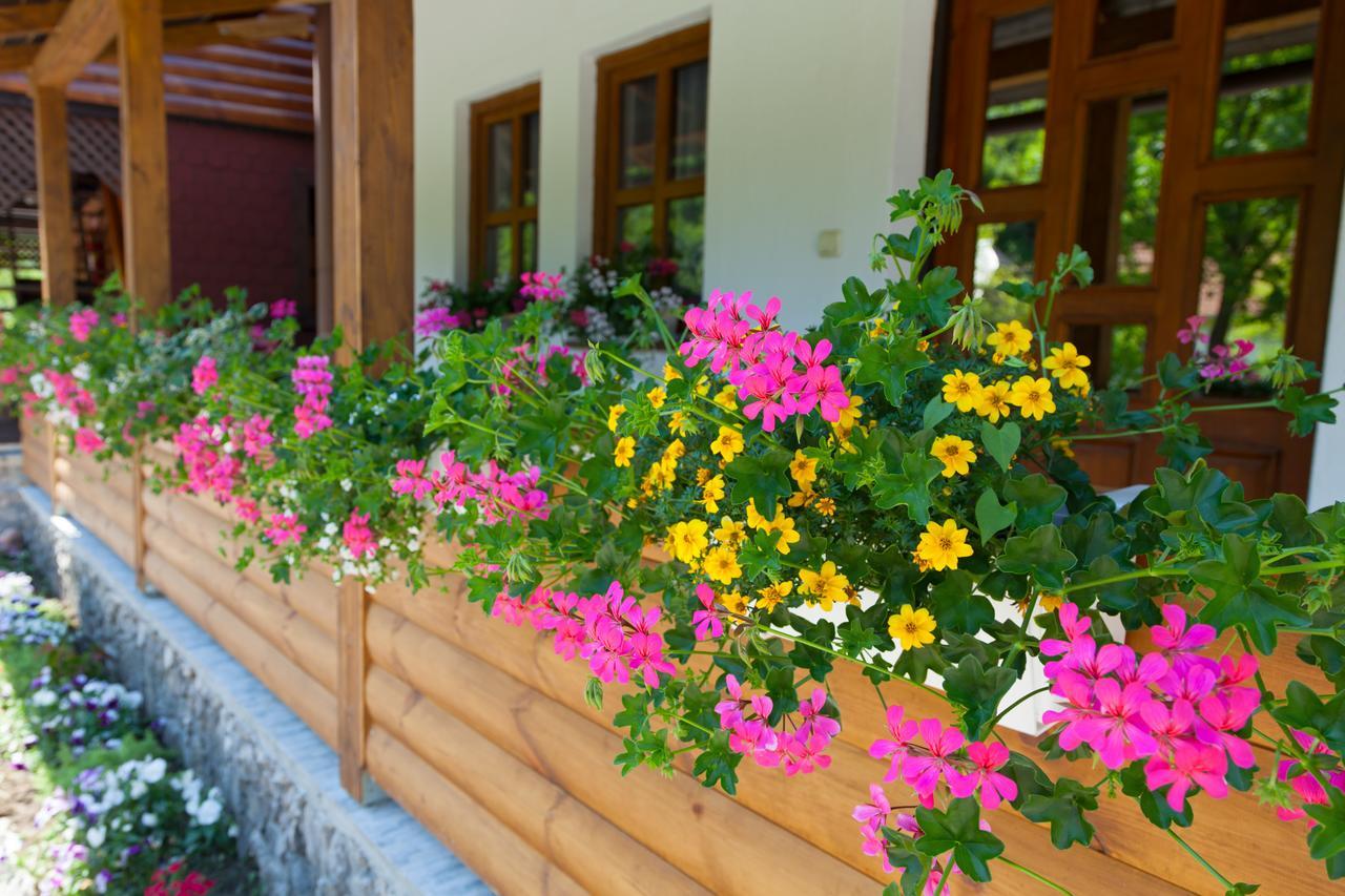 Apartment Mira Korana Екстериор снимка